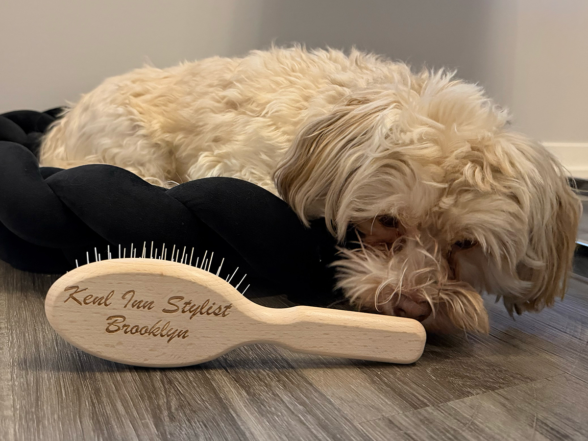 Personalizing-Professional-Tools-with-Laser-Engraving